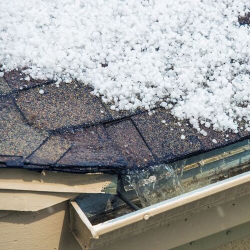 impacted shingles